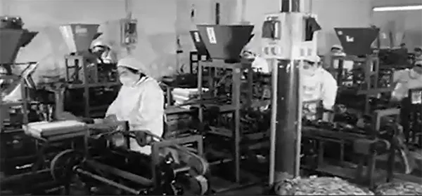 Historia de la empresa
