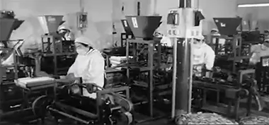 Historia de la empresa