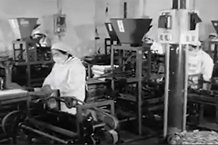 Historia de la empresa